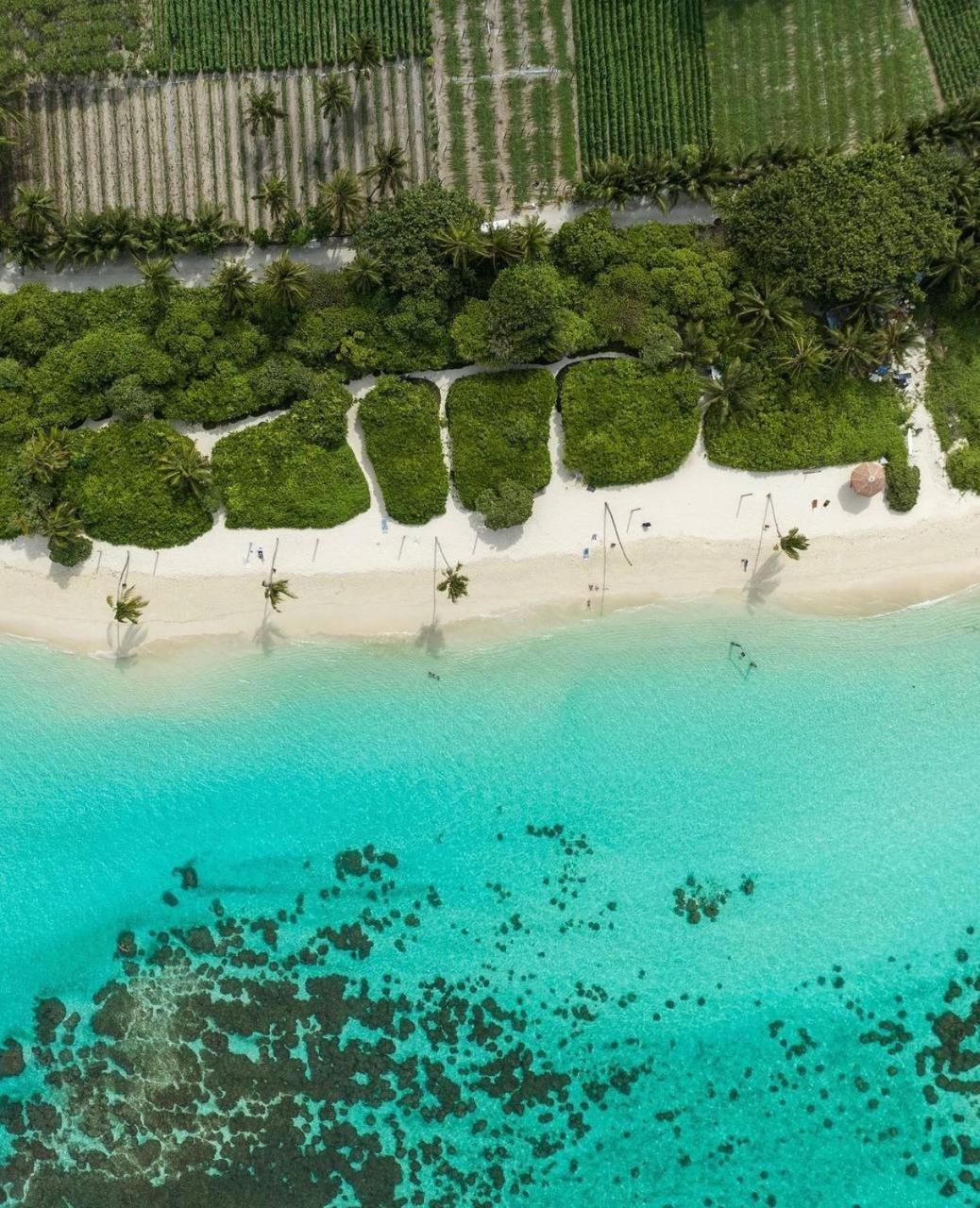Sands Garden Hotel Thoddoo Zewnętrze zdjęcie